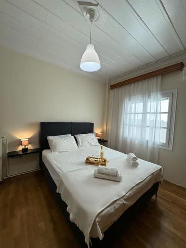 Postel nebo postele na pokoji v ubytování Artaki beach house with view