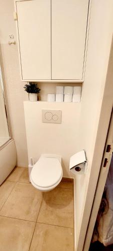 Elle comprend une petite salle de bains pourvue de toilettes et d'une armoire. dans l'établissement Chic & Cosy apartment - 60m2, 3 rooms, à Asnières-sur-Seine