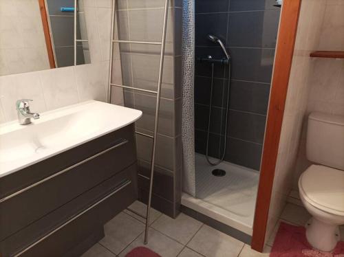 une salle de bain avec une douche, un lavabo et des toilettes dans l'établissement Appartement T3 en duplex, à Vias
