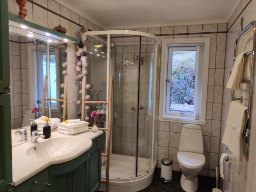a bathroom with a shower and a sink and a toilet at Nearby Bergen, Midtunlia 27d in Bergen