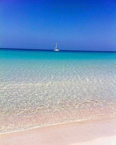 a sail boat in the water on a beach at La Mimosa Case Vacanze in Marsala