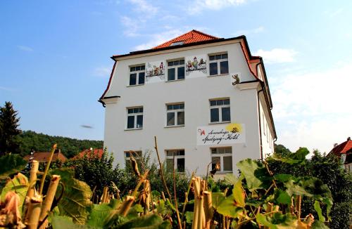 Un bâtiment blanc avec beaucoup de plantes devant lui dans l'établissement Spielzeughotel Sonneberg, à Sonneberg