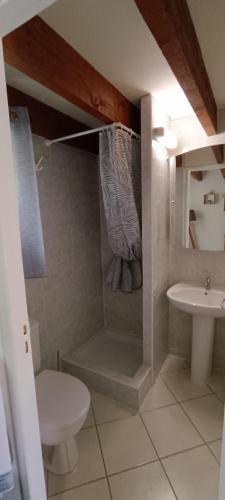 une salle de bain avec une douche, des toilettes et un lavabo dans l'établissement Mazet provençal Gorges du Verdon 4 personnes, à Saint-Martin-de-Brômes