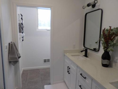 a bathroom with a sink and a mirror at La joie de vivre in South Haven