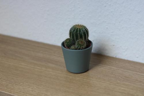 Ein Kaktus in einem grauen Topf, der auf einem Tisch sitzt. in der Unterkunft Dimis-Apartment in Köln