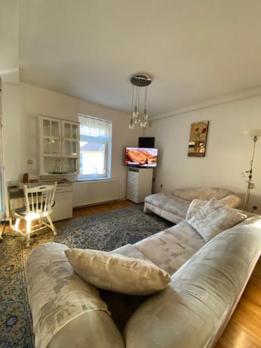 sala de estar con sofá y mesa en Apartment in Vrnjacka Banja, en Vrnjačka Banja
