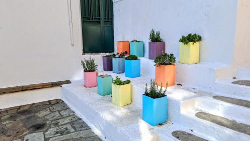 a group of plants in colorful pots sitting on steps at BLUE, Traditional House in Klíma