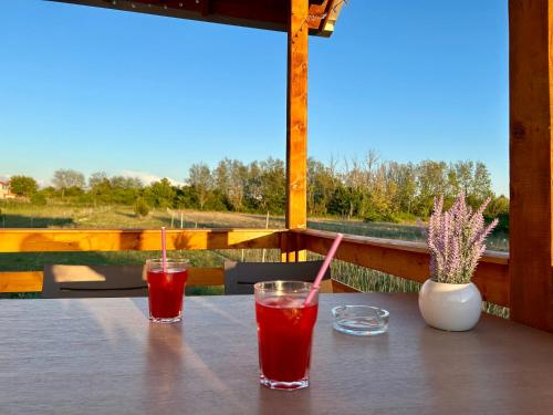 two drinks are sitting on a table on a porch at Lavanda 1 in Privlaka