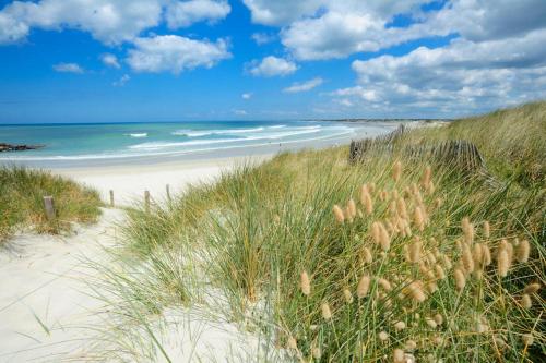 a sandy beach with grass and the ocean at La petite maison de Celestine in Plonéour-Lanvern