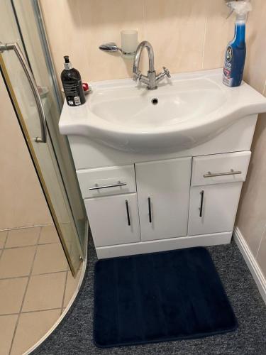 a bathroom with a sink and a shower at Kilmactrasna Cottage in Carrickmacross