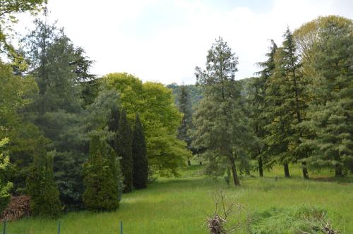 a field of green grass with trees in the background at Arya Apartment in Torre Boldone