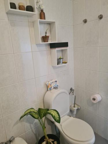 a bathroom with a toilet and a plant in it at Quarto Santiago in Corroios