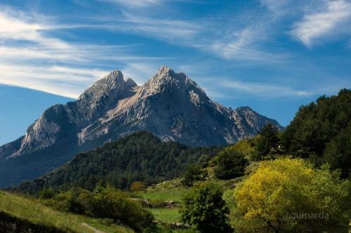 カントリーハウスの近くで見られる自然の景観