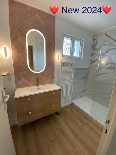 une salle de bain avec un lavabo et une douche avec un miroir dans l'établissement Mer & Relax - parking - wifi - terrasse - mer, à Saint-Cyr-sur-Mer