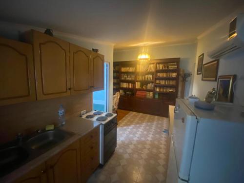 eine Küche mit einer Spüle und einem Kühlschrank in der Unterkunft Aparttamento in Tirana