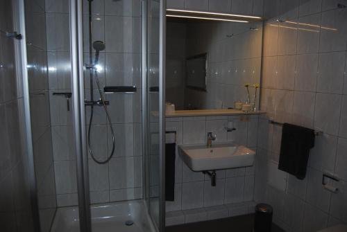 een badkamer met een douche en een wastafel bij B2-Ferienwohnung in Erfurt