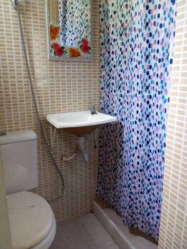 a bathroom with a sink and a toilet and a shower curtain at Casa famíliar agradável in Rio de Janeiro