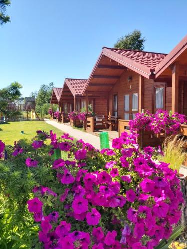 Domki Rowy ul Różana 8