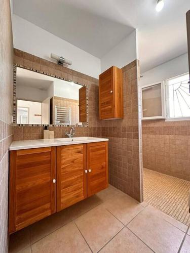 une salle de bain avec un lavabo et un miroir dans l'établissement Lion house, à Saint-Gilles