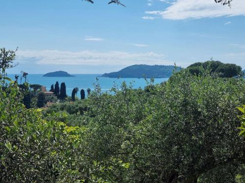 a view of the ocean from behind some trees at Patty's Cottage with private PARKING in Lerici