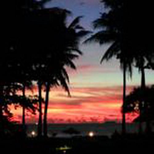 a sunset with a group of palm trees on a beach at Nautilus Right on the Beach - Adult Only - SHA Extra Plus in Ko Lanta