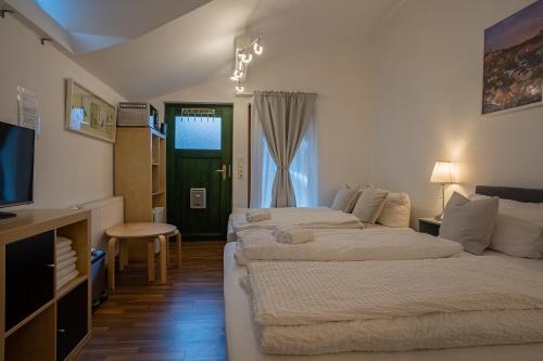 a hotel room with two beds and a television at Studio Luxembourg - EPA in Rust