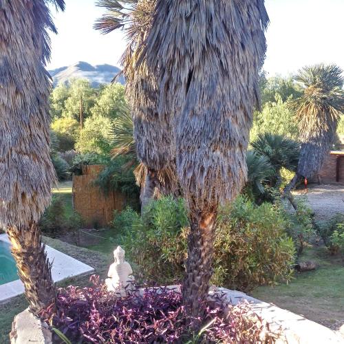 a woman sitting in a garden between two palm trees at Palmares al cerro in Capilla del Monte