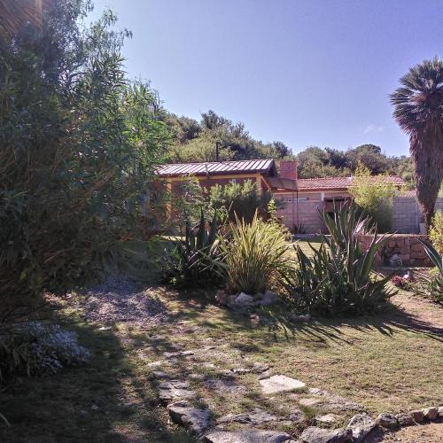 a house with a palm tree in a yard at Palmares al cerro in Capilla del Monte
