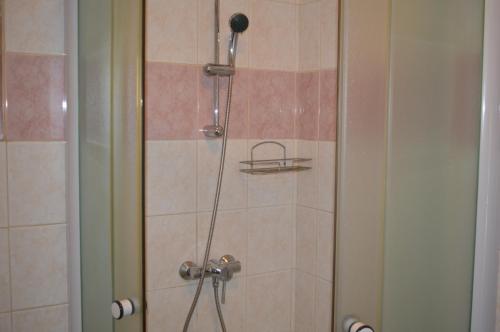 een douche in een badkamer met een glazen deur bij Davi Penzion & Bowling in Rožňava