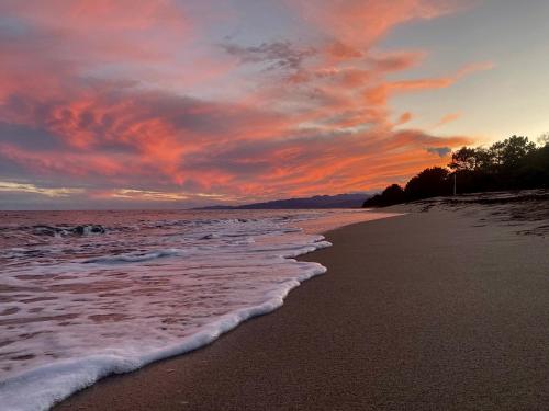 a sunset on a beach with the ocean at Residence Canella in Sari Solenzara