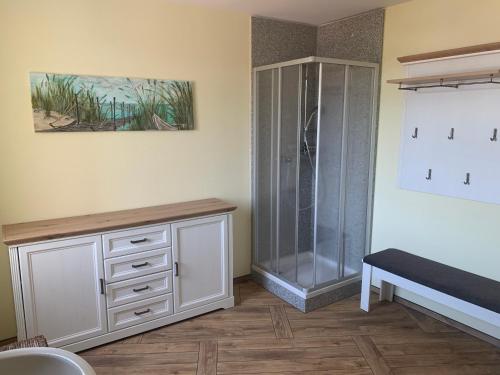 La salle de bains est pourvue d'une douche et d'une armoire blanche. dans l'établissement Ferienwohnung Zur fleißigen Biene, à Meissen