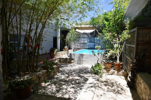 un patio trasero con piscina y algunas plantas en la playita hostal en San José del Cabo