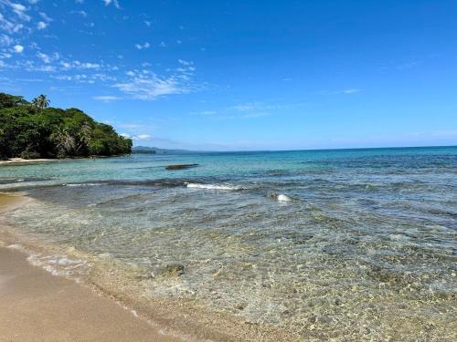 a beach with water and trees on the shore at Caribbean Flow in Puerto Viejo