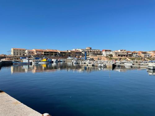 a bunch of boats are docked in a harbor at Casa I Corbezzoli - Paduledda - Isola Rossa in Cascabraga
