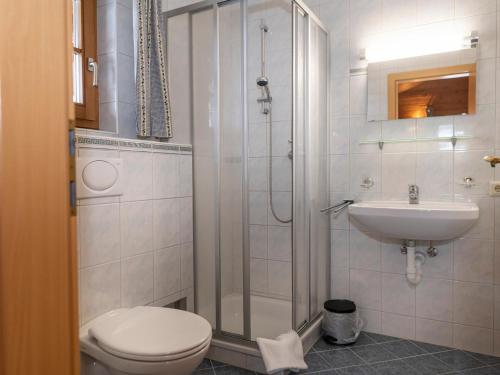 een badkamer met een douche, een toilet en een wastafel bij Urige Doppelhaushälfte 4 rechts in Grafenweg