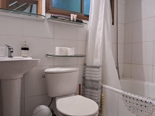 uma casa de banho com um WC, um lavatório e um chuveiro em SEA LODGE ALGARROBO em Algarrobo