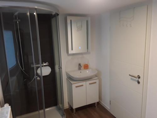 ゲルスフェルトにあるFerienwohnung 85 , Gersfeld Rhön , Ortsmitte , frisch saniert , Gästehaus Mierdelの洗面台とシャワー付きの小さなバスルーム