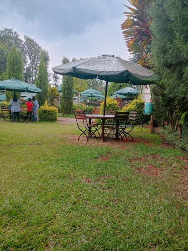 einen Picknicktisch mit Sonnenschirm in einem Park in der Unterkunft Kerugoya suits in Keruguya