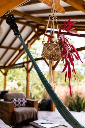 a plant in a hammock hanging from a ceiling at Lodge Kara in Grand-Bourg