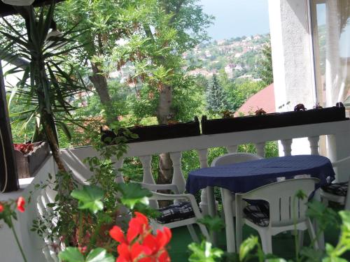 a balcony with a table and chairs and a view at Hotel Viktória in Balatonalmádi