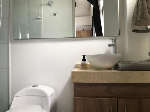 a bathroom with a white toilet and a sink at Apartamento en La Candelaria, centro histórico Bogotá in Bogotá