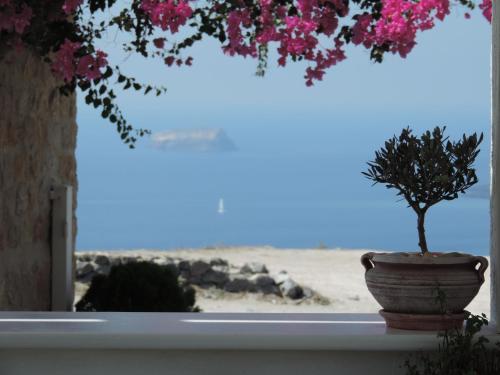 Gallery image of Nautilus Dome in Fira