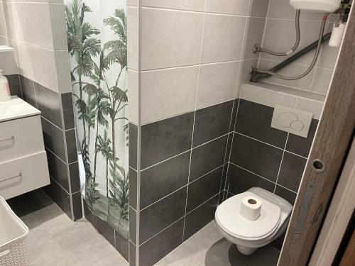 La salle de bains est pourvue d'une douche et de toilettes. dans l'établissement Logement complet à proximité de Paris, au Blanc-Mesnil