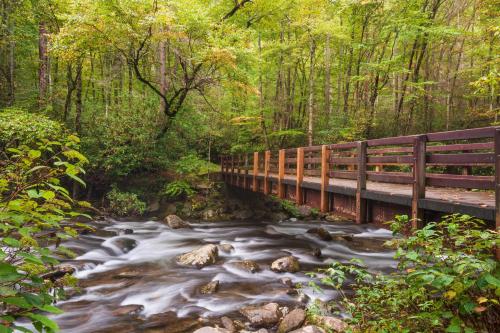 a bridge over a stream in a forest at Alpine Joy-Hot Tub, Pond Access ,Cozy Cabin Retreat in the Smokies in Townsend