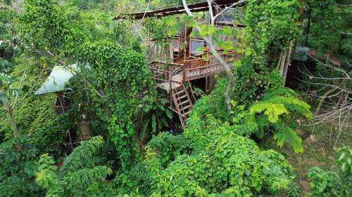 an overhead view of a tree house in the jungle at The Valley Tayrona hostel- A social jungle hostel in El Zaino