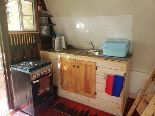 une petite cuisine avec un évier et une cuisinière dans l'établissement Ridge View Cottage Blue Mountain Wilderness Retreat, à Port Antonio