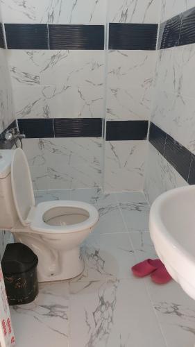 a bathroom with a toilet and a sink at Tatvan Kamp Alanı in Tatvan