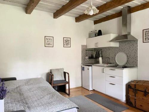 una cocina con mesa y una cocina con estufa en Füge Major, en Balatonlelle