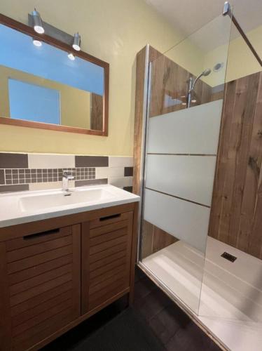 La salle de bains est pourvue d'un lavabo et d'une douche avec un miroir. dans l'établissement Duplex proche centre-ville, à Brest