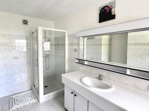 y baño blanco con lavabo y ducha. en Loca-Moulins, en Saze